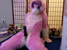 Puppygirl ordeñada con Vacuglide por Autoblow