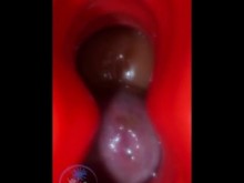 Missionary Sped Frot Borde recto Intimalia Bloque de polla de túnel rojo Colgando Twink Shorties