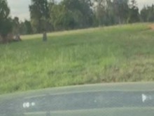 Travestismo en parque público