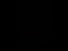 Niño llorón intenta juguetes