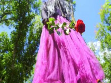 Mesmeriza_27_01_MOV_CINEMA_CLIP_379_20240816113405021_001