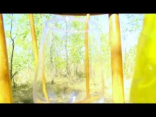 Lady_Alice_compilation_08_burning_prickly_love_(mesmerize_version)_4K_UHD_60FPS_HDR_