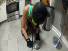 Mi cachorro Omega jugando con sus juguetes y comiendo de su plato