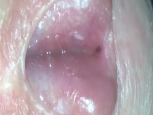 ¡Que se joda mi agujero! 2019