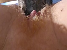 Xxl Goliat de perrito