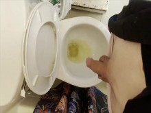 Compilación del diario de orina de Izzy