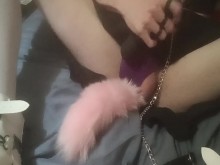 Cachorro TS jugando #2