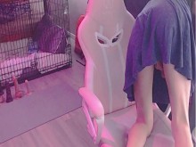 Linda tgirl se azota